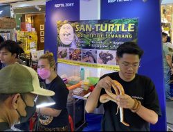 Kucing Cantik dan Reptil Ikut Pameran, Ini Potretnya!