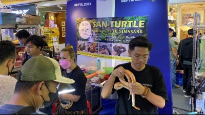 Kucing Cantik dan Reptil Ikut Pameran, Ini Potretnya!