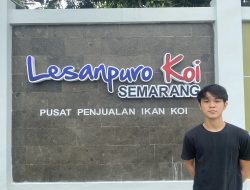 Mahasiswa Ini Raup Cuan dari Hobi Ikan Koi, Pelanggannya Pejabat hingga Hotel