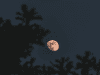 gerhana bulan penumbra