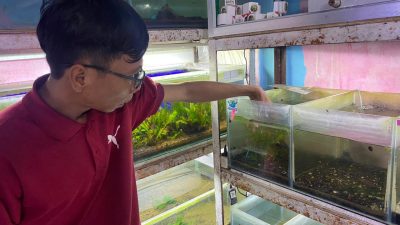 Berawal dari Hobi, Bisnis Aquascape Mampu Raup Untung Jutaan Rupiah