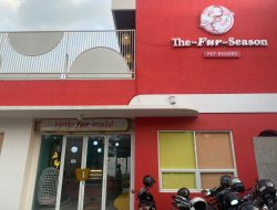tempat penitipan hewan