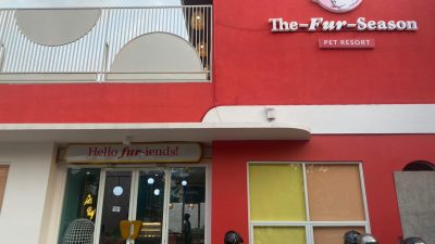 Uniknya The Fur Season Pet Resort, Tempat Penitipan Anjing dan Kucing ala Sultan