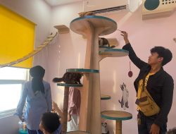 penitipan hewan Semarang | The Fur Season Semarang