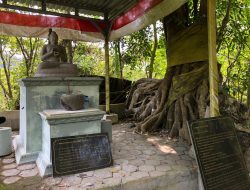 Tiba di Semarang 28 Mei, Bhikku Thudong Singgah di Tiga Tempat
