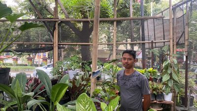 Sanflorist, Satu-satunya Bisnis Tanaman Hias Asli Semarang