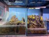 hobi aquascape
