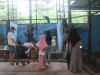 semarang zoo