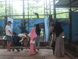 Libur Panjang Lebaran, Semarang Zoo Sedot Pengunjung Hingga 60 Ribu Orang