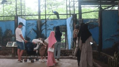 Libur Panjang Lebaran, Semarang Zoo Sedot Pengunjung Hingga 60 Ribu Orang