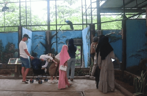 semarang zoo
