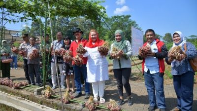 Walikota Ingin Semarang Jadi Pemasok Bawang Merah bagi Kawasan Hinterland