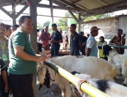 Perdana di Blora, Kontes Kambing Harga Fantastis