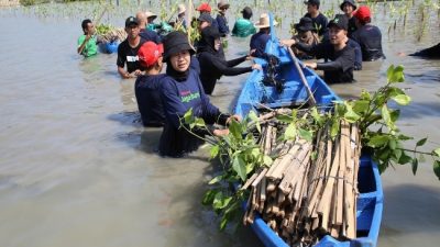 Lanjutkan Program Carbon Offset, Telkomsel Jaga Bumi Tanam 15.060 Pohon Mangrove