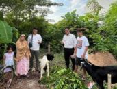 kurban hotel santika pekalongan