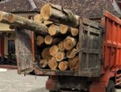 Gagalkan illegal logging