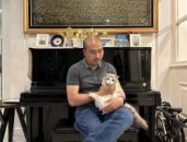Mengenal Kucing Ragdoll yang Mengemaskan, Bermata Biru dan Karakternya Mirip Anjing