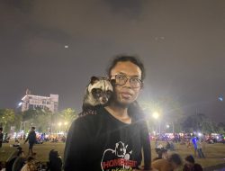 Mengenal Musang Pandan, Musang Beraroma Wangi Daun Pandan