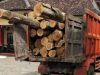 Gagalkan illegal logging