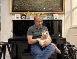 Mengenal Kucing Ragdoll yang Mengemaskan, Bermata Biru dan Karakternya Mirip Anjing