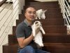 Ragdoll Semarang