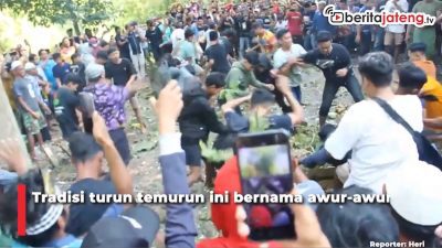 Video Tradisi Unik Awur-awur, Saling Lempar Nasi Gunungan