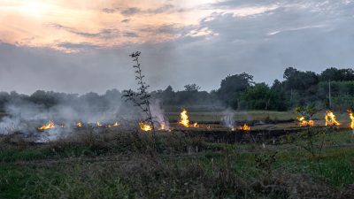 DLHK Jateng Bentuk Tim Patroli Antisipasi Kebakaran Hutan dan Lahan