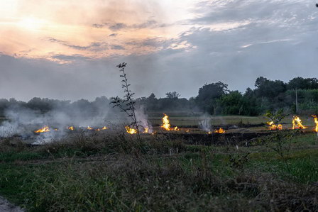 DLHK Jateng