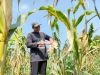 petani milenial