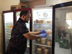 usaha olahan kelapa muda