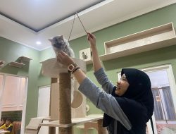 cat cafe semarang