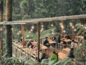 rekomendasi cafe