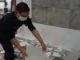 gempa jogja