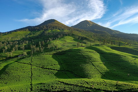 Gunung Cilik Wonosobo