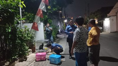 Ada Temuan Kucing Liar Diduga Terpapar Rabies di Sampangan dan Gunungpati
