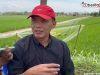 mina padi Karanganyar