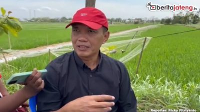 Video Ketua DPRD Jateng Dukung Pengembangan Mina Padi di Karanganyar