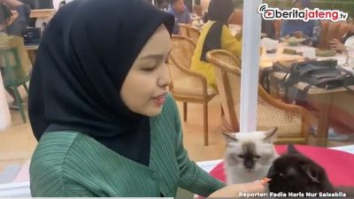 Video Nongkrong di Kafe Ditemani Kucing-Kucing Gemas