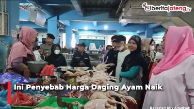 Video Ini Faktor Penyebab Harga Daging Ayam Naik