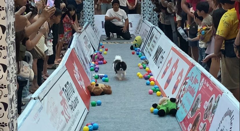 Semarang Pet Expo
