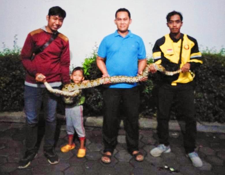 ular masuk rumah warga