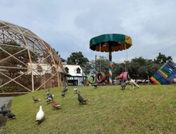 Serasa Eropa, 3 Wisata yang Lagi Hits di Banyumas Jawa Tengah ini Cocok untuk Liburan Keluarga