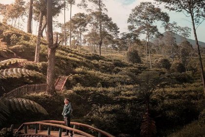 Rekomendasi wisata alam