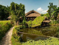 Unik! Kampung ini Terapkan Aturan Pemerintah, Lokasinya di Probolinggo