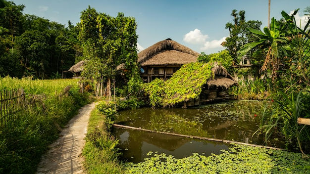 Desa Ngadisari Probolinggo