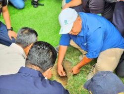 Ramai-Ramai Perkara Rumput JIS, Ada Pihak Tak Senang Anies Nyapres?