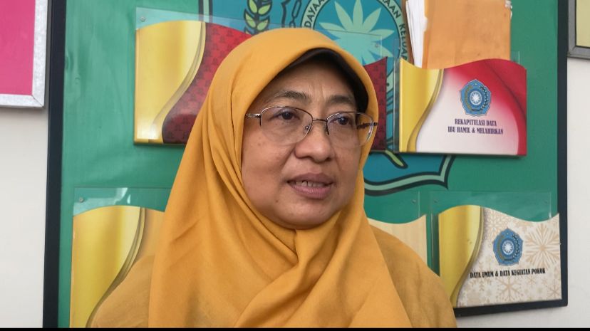 Siti Maziyah, Dosen Sejarah Undip saat ditemui usai menjadi pembicara dalam Seminar Silsilah Daerah di Semarang, Selasa , 15 Agustus 2023.