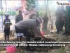 Kapolda Jateng