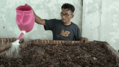 Terinspirasi Surah Yasin, Ini Kisah Supriadi Kembangkan Energi Baru Terbarukan dari Daun Kering dan Ranting Pohon