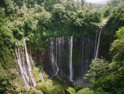 Rekomendasi Air Terjun Paling Unik di Kota Malang yang Wajib Kamu Kunjungi